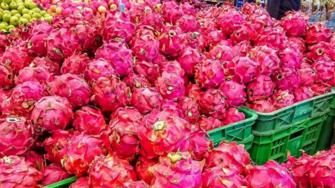Buah naga. [Instagram]